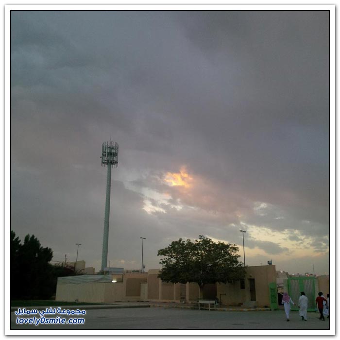 صور أمطار الرياض ليوم السبت 16-11-2013م