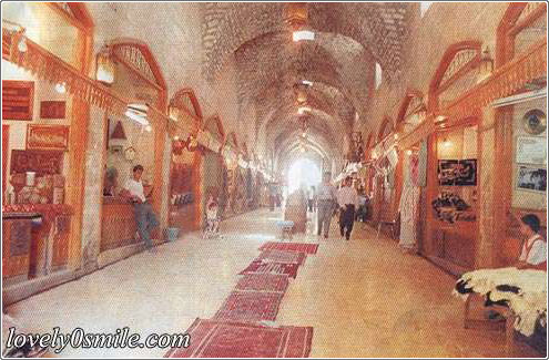 صورة الثقافة الإسلامية في عمارة حلب