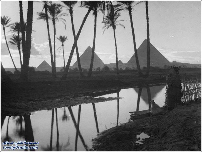 صور القاهرة بين عامي 1900-1936