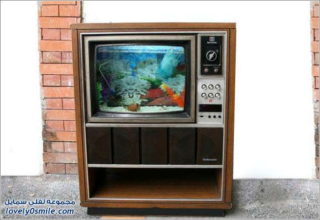 صناعة حوض سمك داخل تلفزيون قديم