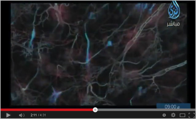 فيديو: ماذا يحصل في مخ الرجل ع