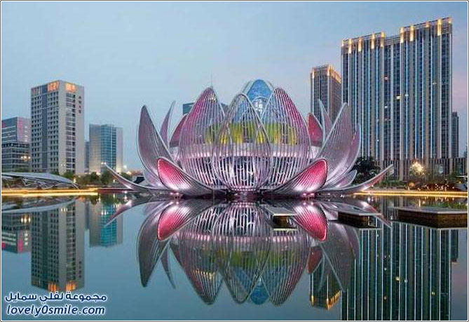 تصميم مبنى مذهل على شكل زهرة اللوتس في الصين