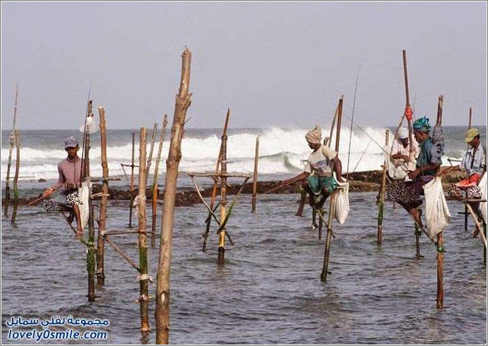 الصيد باستخدام الركيزة في سريلانكا