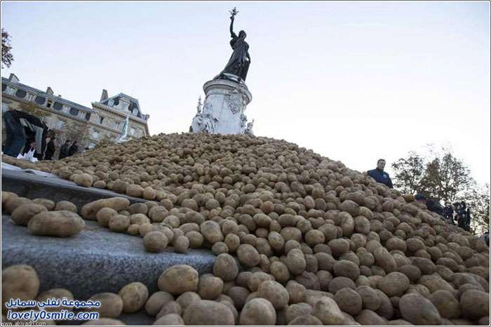 احتجاج البطاطس في فرنسا