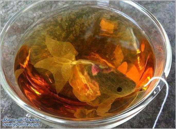أكياس شاي على شكل أسماك الزينة