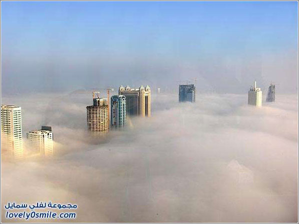 صور: دبي في الضباب
