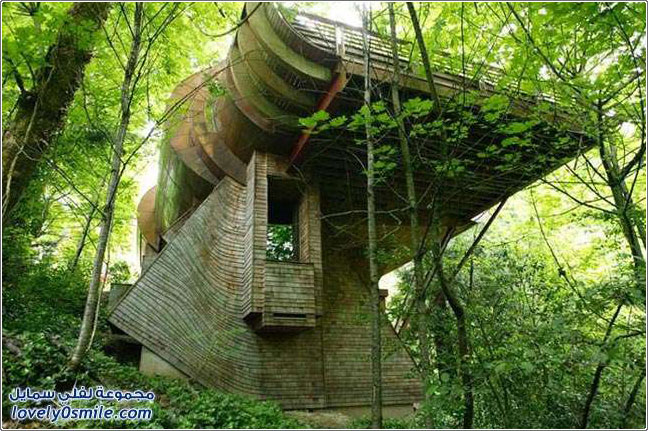 صور لمنزل عجيب في غابات بورتلاند بولاية اوريجون