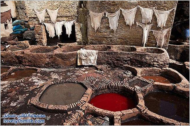 صور طريقة صبغ الجلود في مدينة فاس القديمة