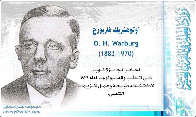 أوتوهنريك فاربورج O. H. Warburg