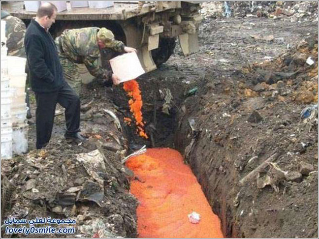 تدمير الكافيار الأحمر المهرب في روسيا