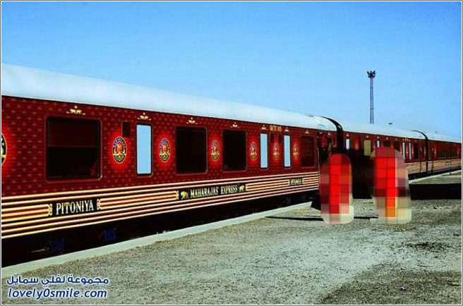 قطار فخم للسياح في الهند