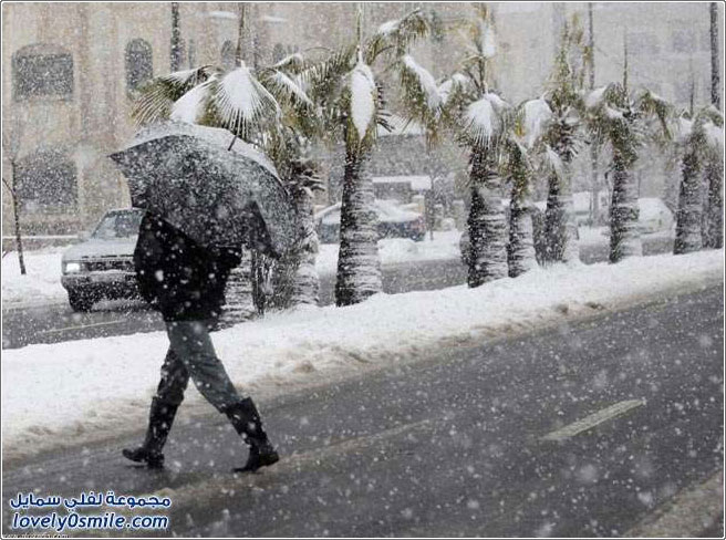 الثلوج تحل ضيفاً على بلاد الشام