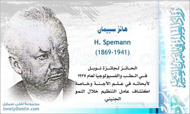 هانز سبيمان H. Spemann