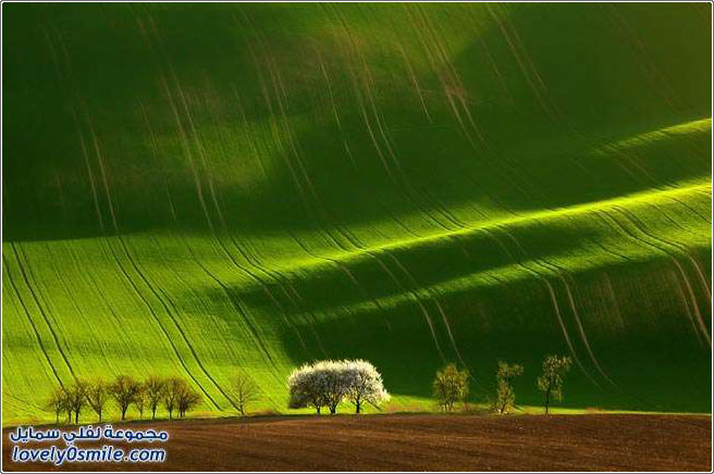 الحقول الخضراء في مورافيا ، الجمهورية التشيكية