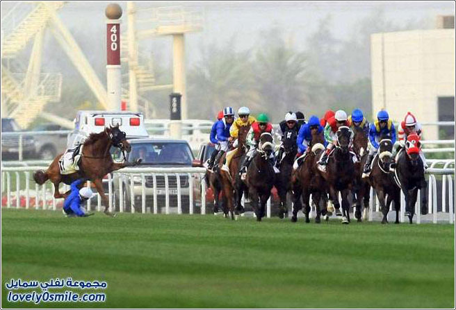 سباق دبي العالمي للخيول 2012