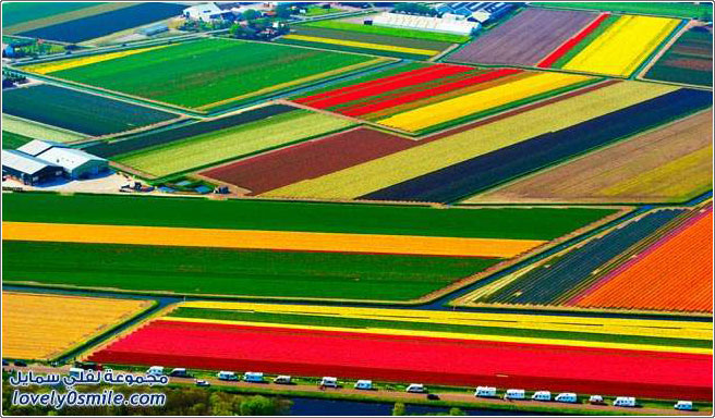 صور من هولندا من الجو