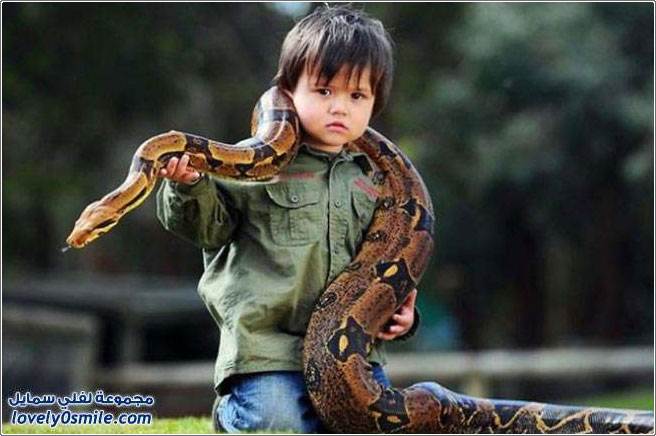 طفل استرالي صديق لأفعى وتمساح
