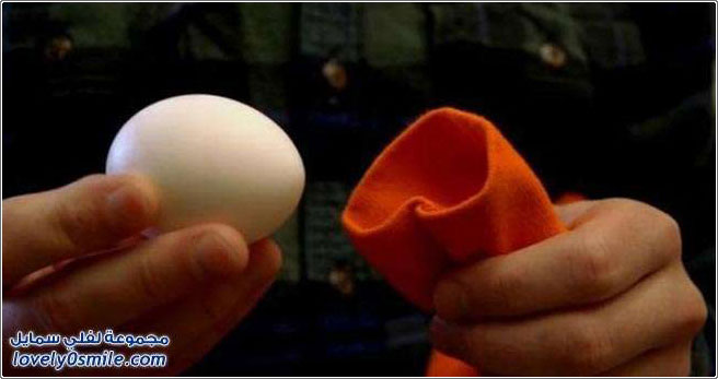 إذا رجيت البيضة قبل سلقها ماذا ينتج؟