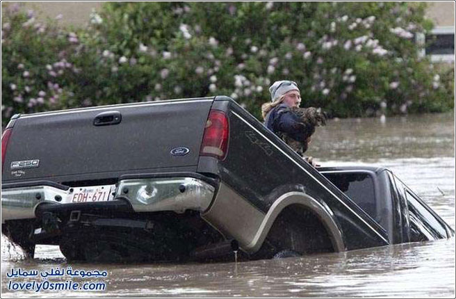 رجل وفي ينقذ قط معه أثناء الفيضانات في كندا