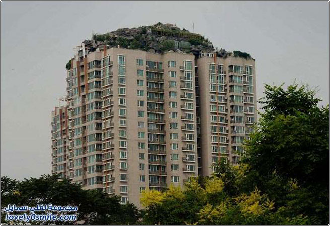 بيت من الصخور والأشجار على سقف بناية سكنية في الصين